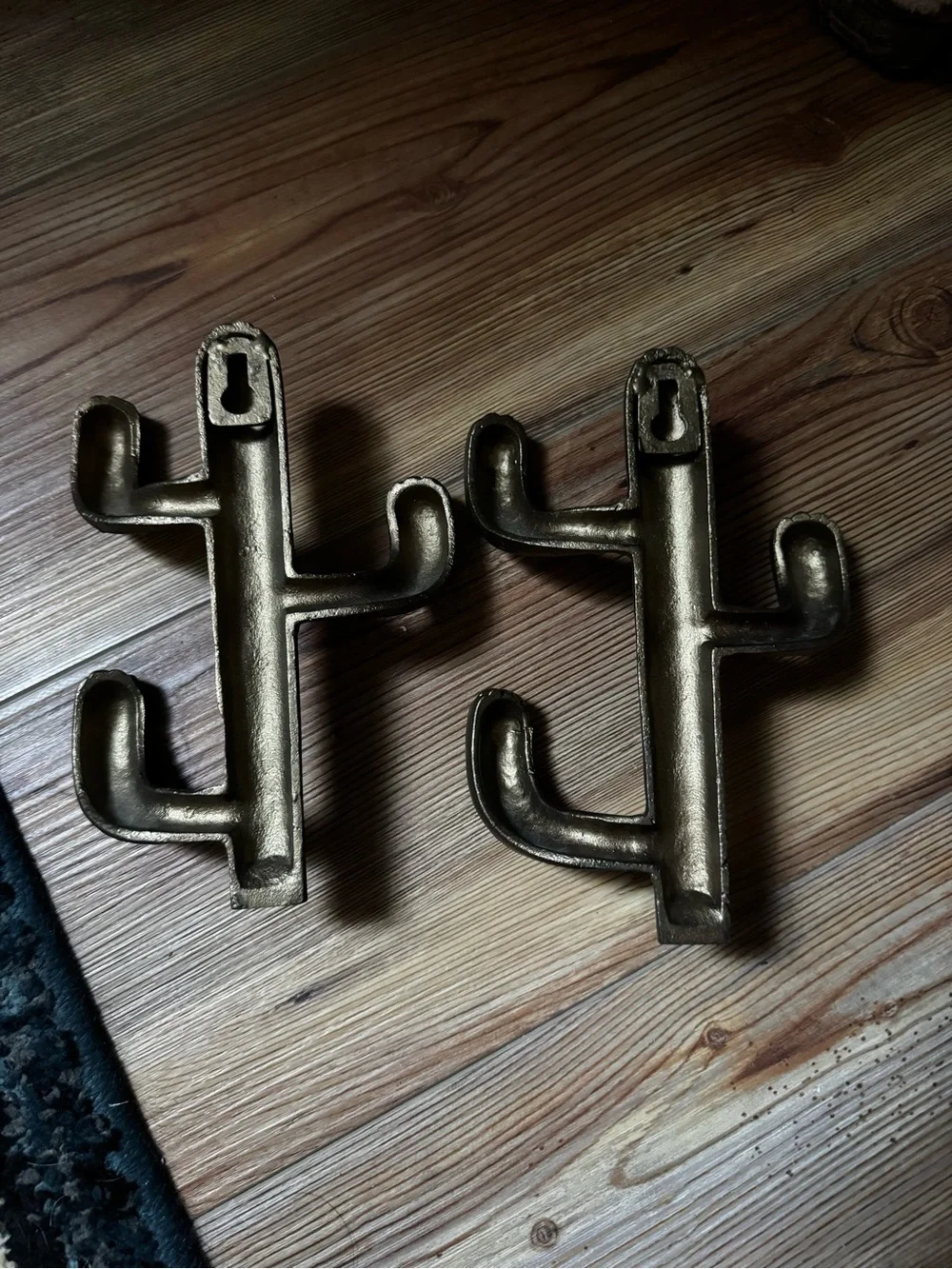 Decorative brass Saguro Cactus Wall Hooks - Pair